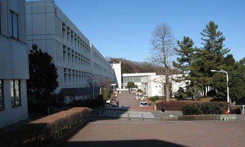 拓殖大学