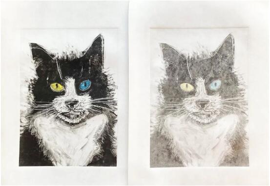 版画是冷门专业？