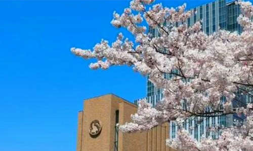 日本艺术留学有哪些优势？